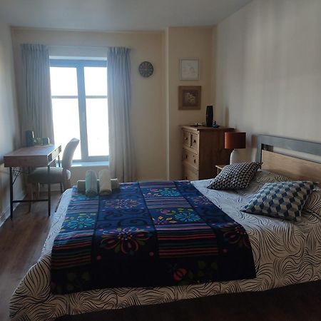 Swallows Nest - Spacious Bright Double Bedroom With Ensuite Bathroom Dublino Esterno foto